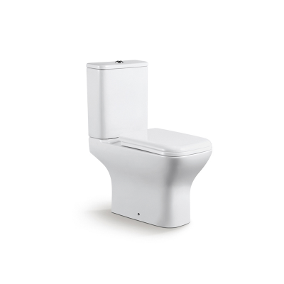 Ceramic Dual-Flush Two-Piece Single Order Complete Toilet Set In South America